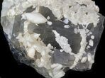 Calcite Crystals On Purple, Cubic Fluorite - (Special Price) #38646-1